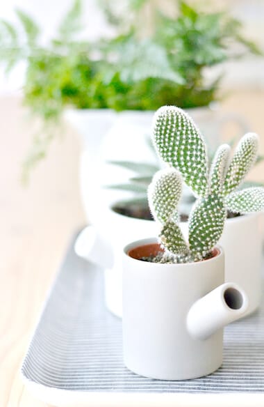 bg image description